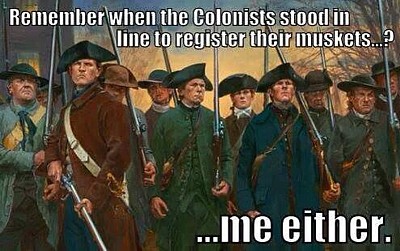 Gun Registration Image Gun Registration Image